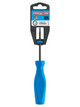 Channellock Magnetic Tip Professional Torx Screwdriver, T10 x 3 in