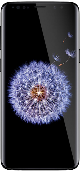 Samsung Galaxy S9 64GB (A+ Stock Unlocked) Kitted