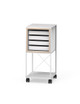 Trolleys with trays CR-SET TR-CD 01