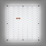 Backlit DWL-31-105  Pre-Order