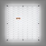 Backlit DWL-31-105.  Pre-Order