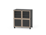 Trolleys with trays CR-SET TR-CD 10