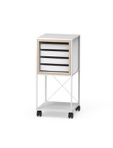 Trolleys with trays CR-SET TR-CD 01