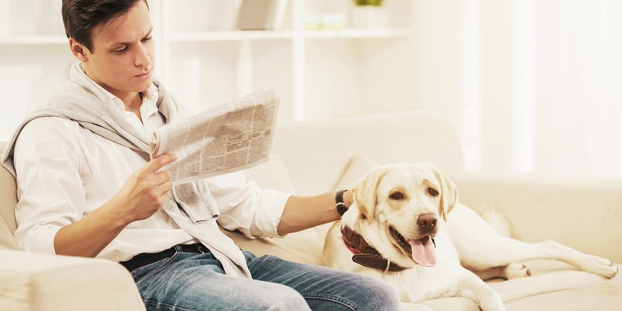 Thinking of Making Your Optical Retail Store Pet-Friendly? You May Want to Reconsider