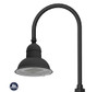 Architectural Gooseneck LED Light Fixture with Single Arm