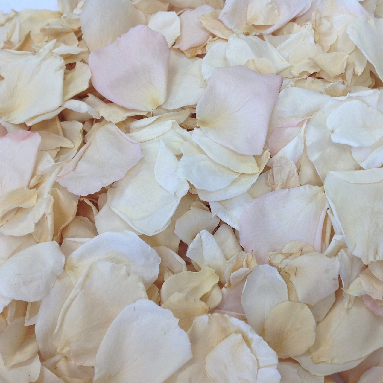 Rose Petal Blends Wedding Petals Rose Petals Real Rose Petals