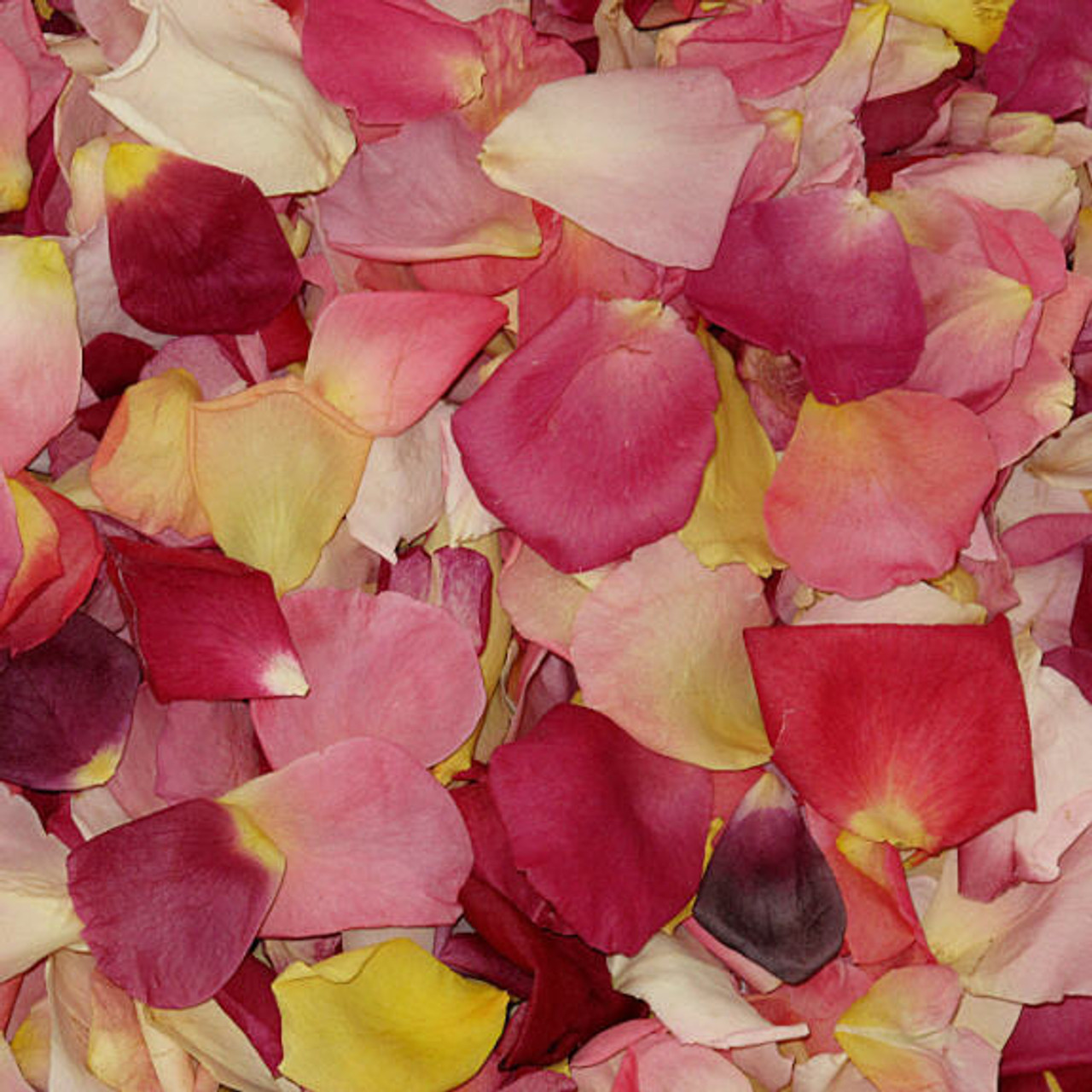 Assorted Flower Petal blend of Wedding Petals, Rose Petals from Flyboy  Naturals