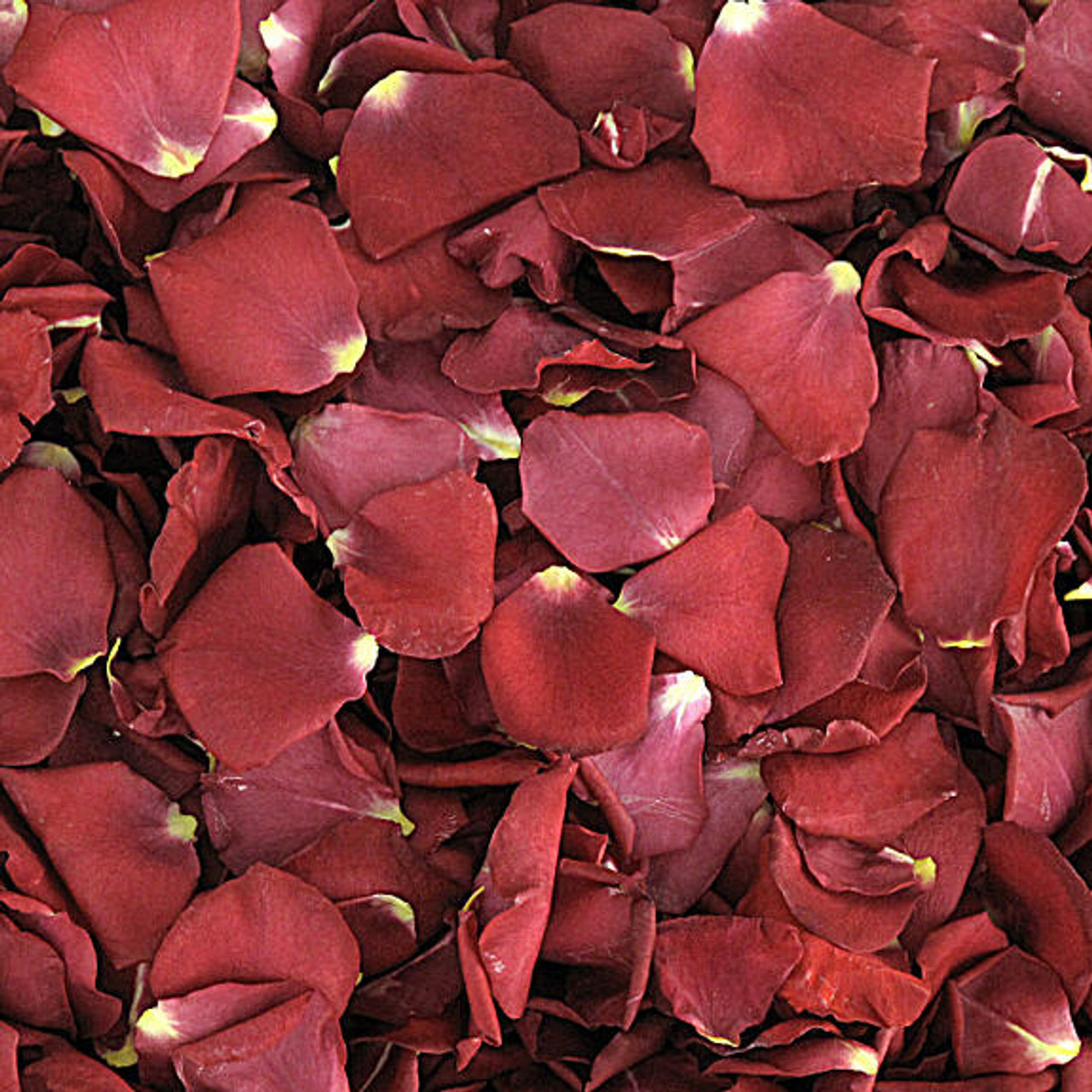 Red Hot Dried Rose Petals