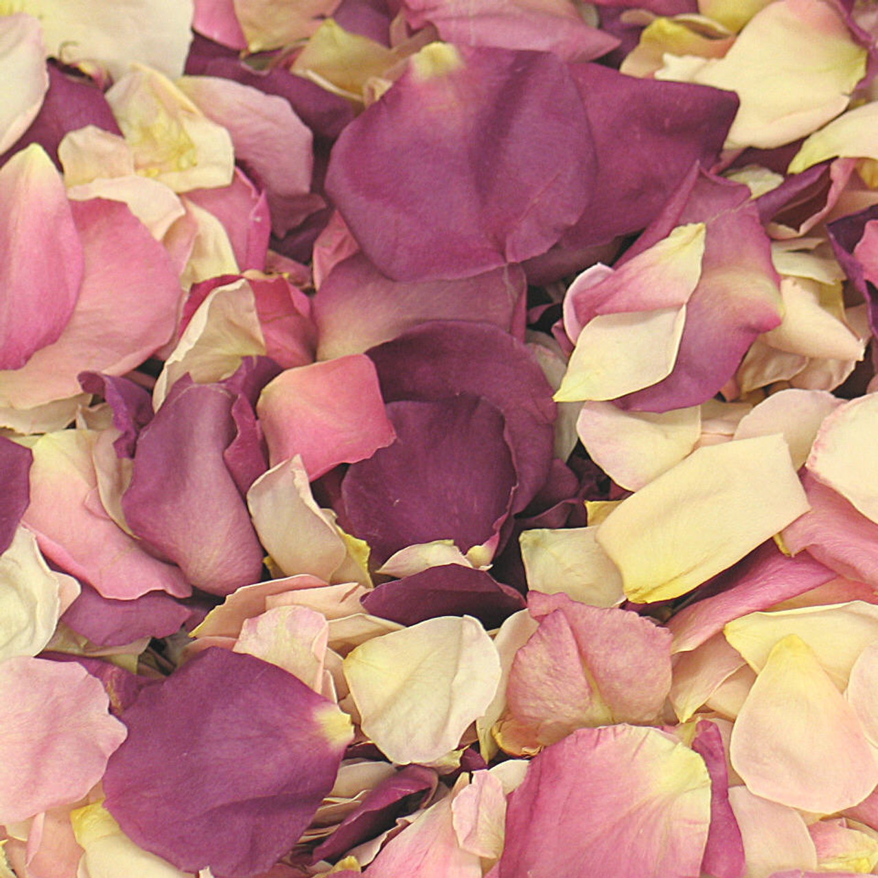 Assorted Flower Petal blend of Wedding Petals, Rose Petals from Flyboy  Naturals