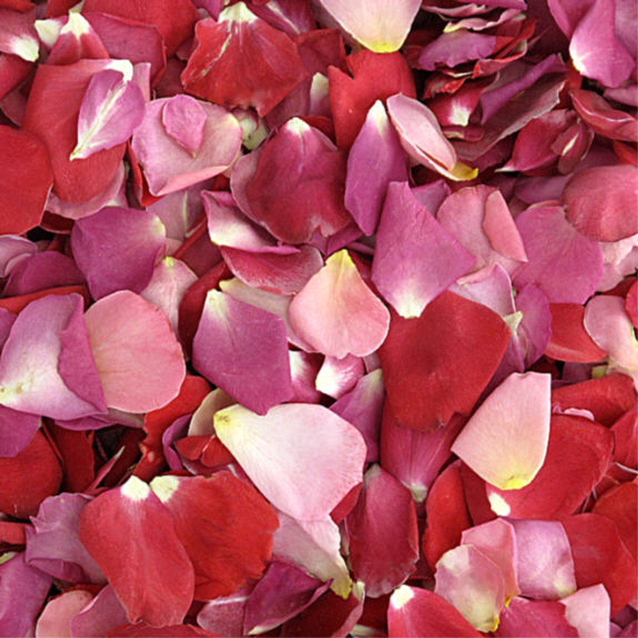 Rose Petals, Romance Blend, REAL Freeze Dried Rose Petals, Perfectly  Preserved 