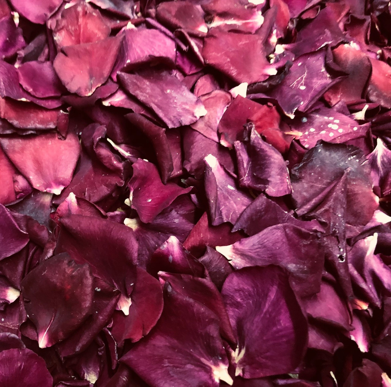 Natural Biodegradable Wedding Confetti Red Burgundy Rose Petals