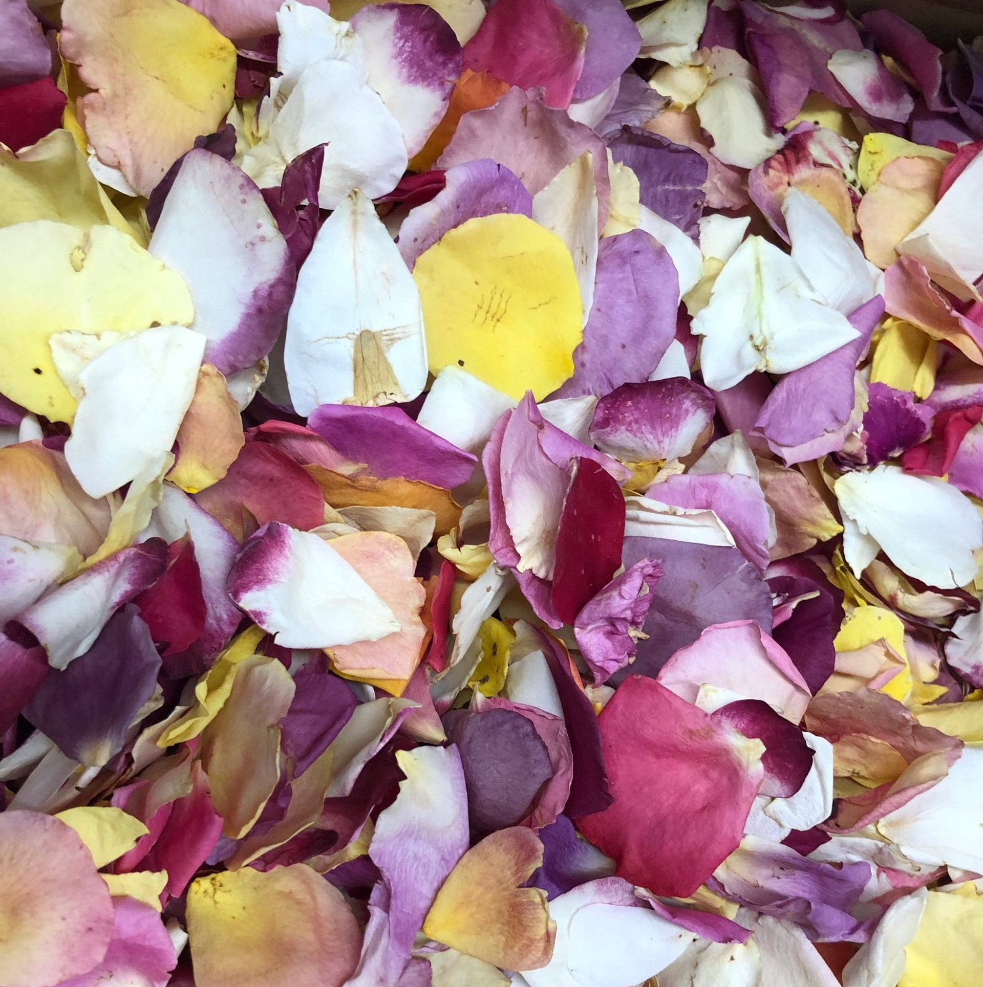 Rose Petal Blends Wedding Petals Rose Petals Real Rose Petals