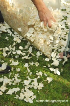Wedding Petals for Aisle