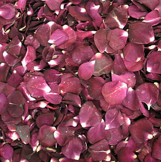 "BB" Merlot PreservedFreeze Dried Pathway Petals