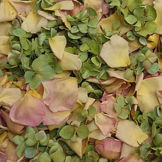 Citrus Tease Preserved Freeze Dried Rose & Hydrangea Petals