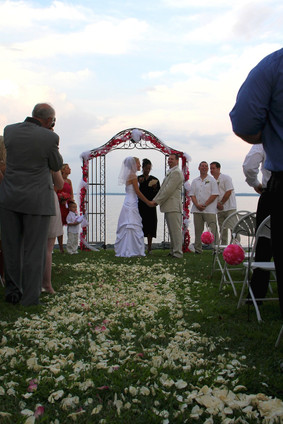 Katies Wedding Aisle & amount of petals used