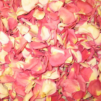 "BB" Tango Preserved Freeze Dried Rose Petals