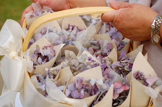 Bruce & Tylers Petal Cones
