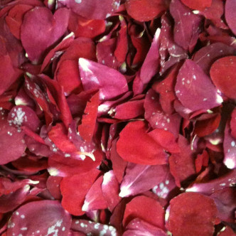 Rose Petals, Real Freeze Dried Red, Pink, and Purple Petals for Pathwa –  Petal Garden, Inc.