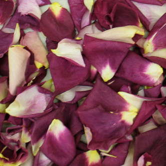 Love Preserved Freeze Dried Rose Petals