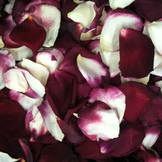 Love Potion #9 Preserved Freeze Dried Rose Petals