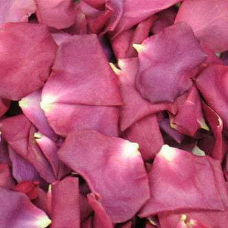 Super Nova Preserved Freeze Dried Rose Petals