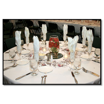 Susie & Ryan's Reception Tables