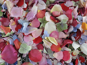 Assorted Flower Petals. Eco-friendly petals from Flyboy Naturals