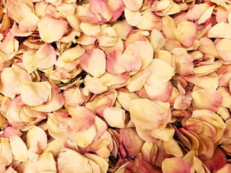 Sunrise Rose Petals. Overstock Sale Item Flyboy Naturals Rose Petals