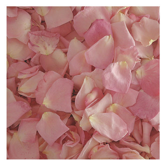 Blue Lagoon Flowerfetti®- Freeze Dried Edible Flower Confetti by Bloomish -  Bloomish by Simply Rose Petals