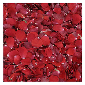Red Rose Petals - 30 Cups - Freeze-Dried & Biodegradable - Real Rose Petals for Wedding Aisle, Holiday Table Decor, Romantic Red Petals - Flyboy Naturals USA