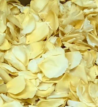 BOGO - 30 cups + 30 cups FREE. Yellow Rose Petals