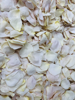 Easy Spirit Real Rose Petals