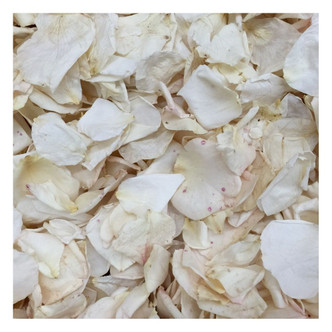 Imperfect Real Rose Petals. Ivory Freeze-dried