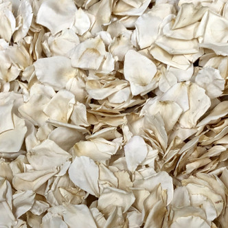 Overstock Pathway /Aisle Ivory Rose Petals 120 Cups Slightly Imperfect Rose Petals Overstock Pathway /Aisle Ivory Rose Petals 120 Cups Slightly Imperfect Rose Petals