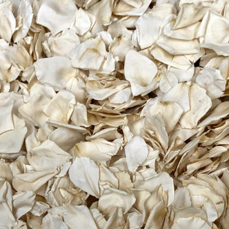 Overstock Pathway /Aisle Ivory Rose Petals 120 Cups Slightly Imperfect Rose Petals