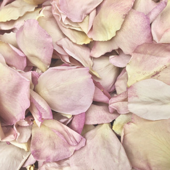 Mauvelous Moments Mauve Freeze-Dried Rose Petals. Made in the USA.