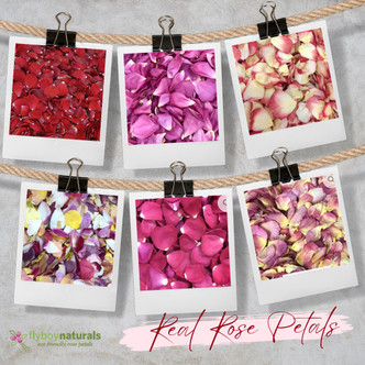 Mauvelous Moments Mauve Freeze-Dried Rose Petals. Made in the USA.