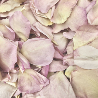 Mauvelous Moments Mauve Freeze-Dried Rose Petals. Made in the USA.