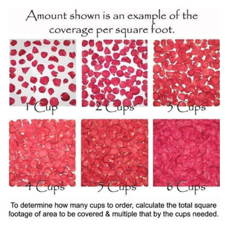 NEW Blush Ivory Real Rose Petals | Freeze-Dried, Eco-Friendly, Biodegradable | Made in USA | 100% Natural | No Tariffs