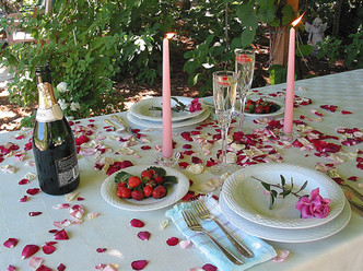 New! Proposal Pink Real Rose Petals | Freeze-Dried, Eco-Friendly, Biodegradable | Made in USA | 100% Natural | No Tariffs