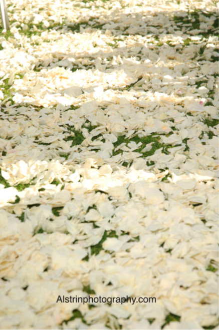AJ's Aisle with Petals