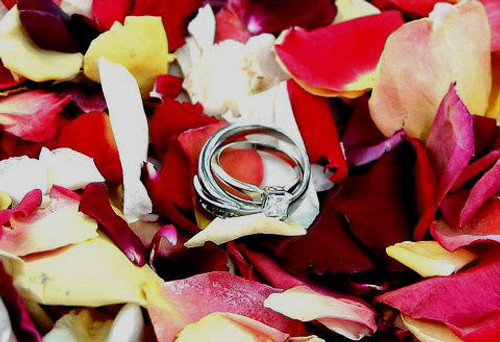 Christine & Greg's Rings with Petals