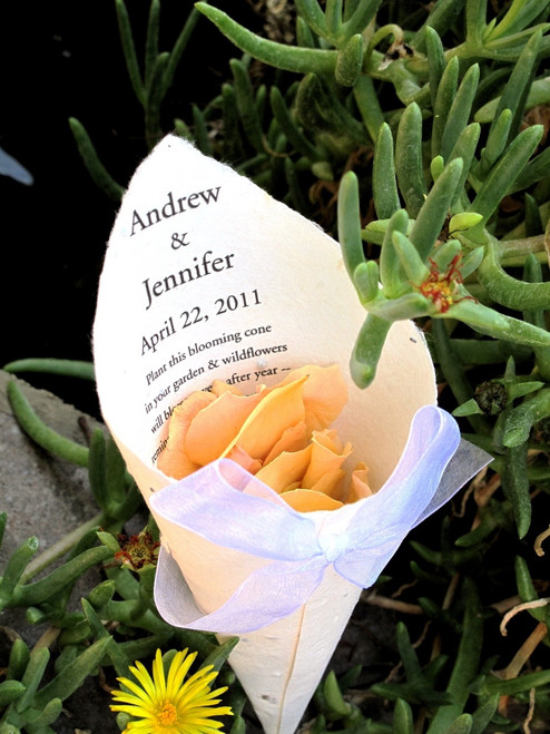 Andy & Jen's Wedding Cones