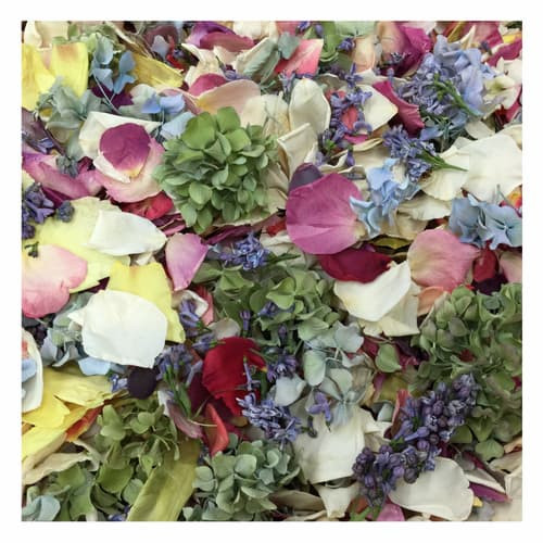 Assorted FLOWER Preserved Freeze Dried Petal Blend