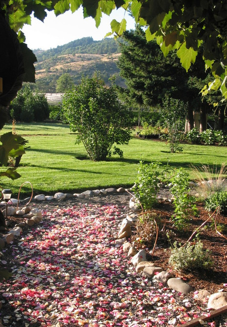 Garden Wedding Path