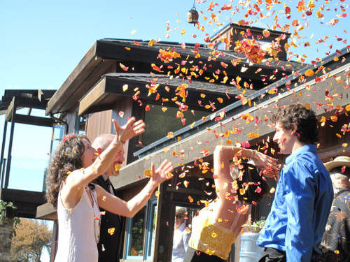 Jodi & Michael's Petal Toss