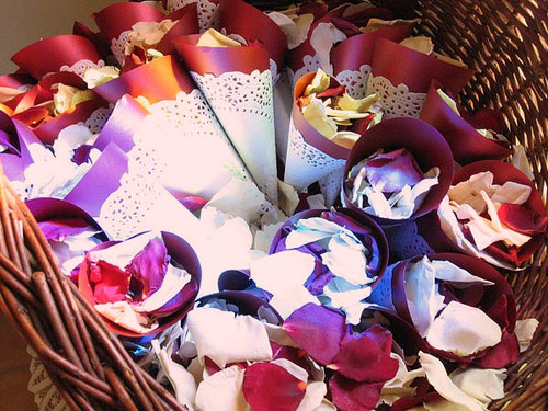 Petal Toss Cones