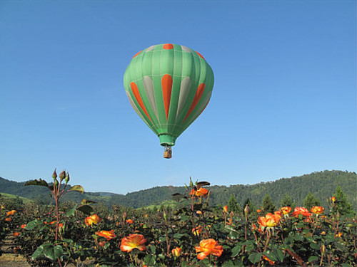 Hot Air Ballon Over Flyboy Fields