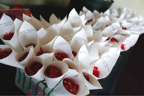 Natalie & Shauns Cones
